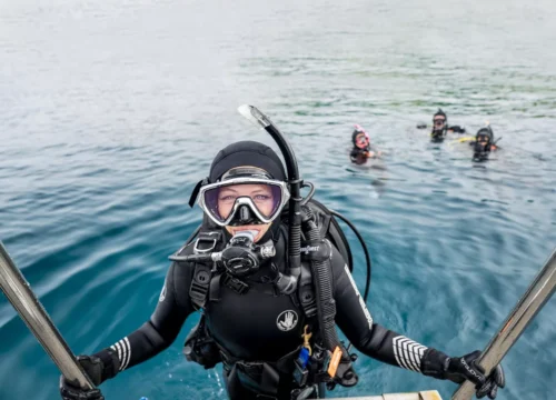 Orange Bay Island & diving