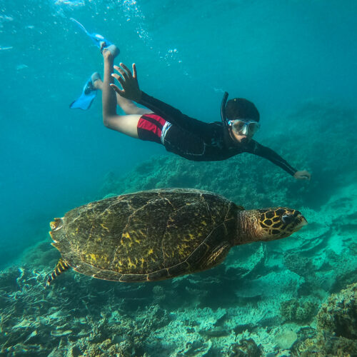 Abu Dabbab Turtle Beach group