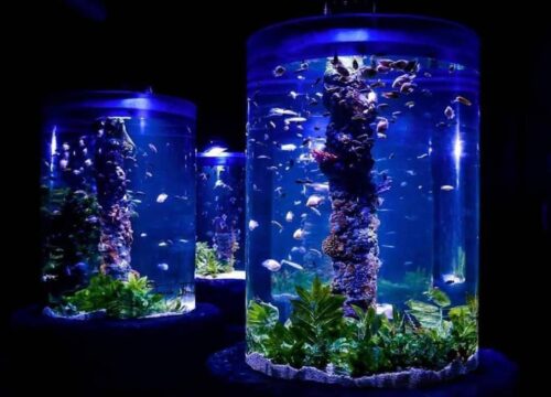 Hurghada Grand Aquarium