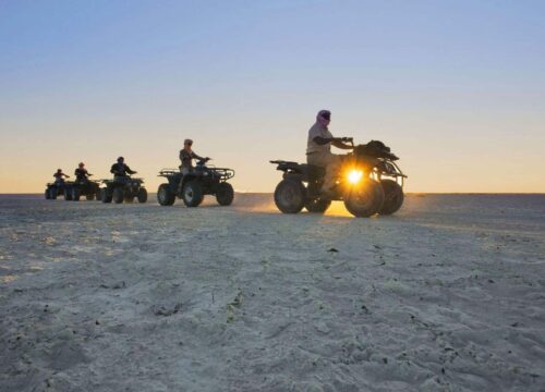 Motor Safari Marine in Marsa Alam