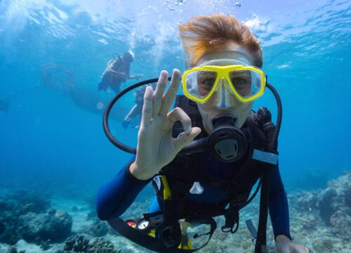 Intro Diving & Snorkeling Tour with Lunch & Drinks